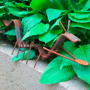 Yoni's Bug, 2010